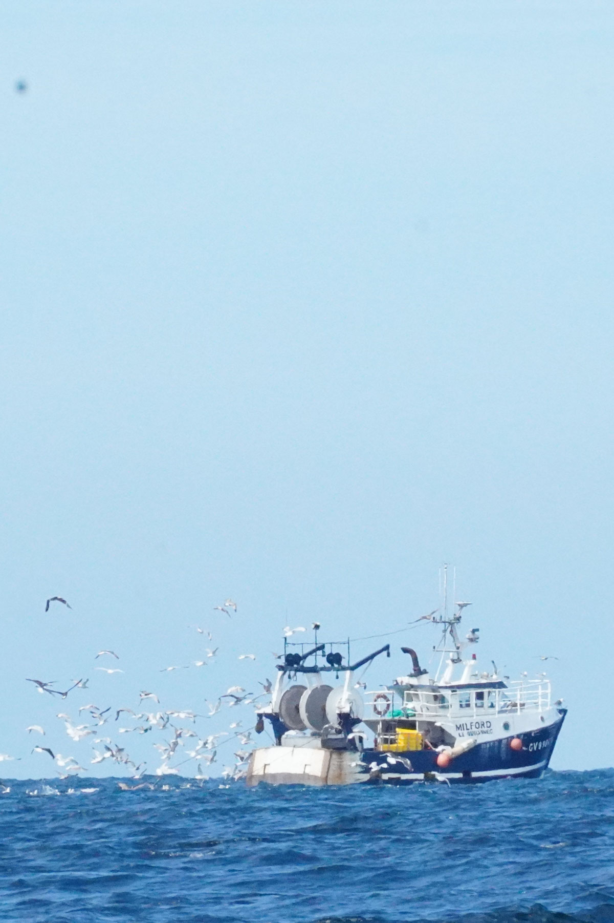 Blanken-Guillou-expertise-maritime-moteur-marine-pêche
